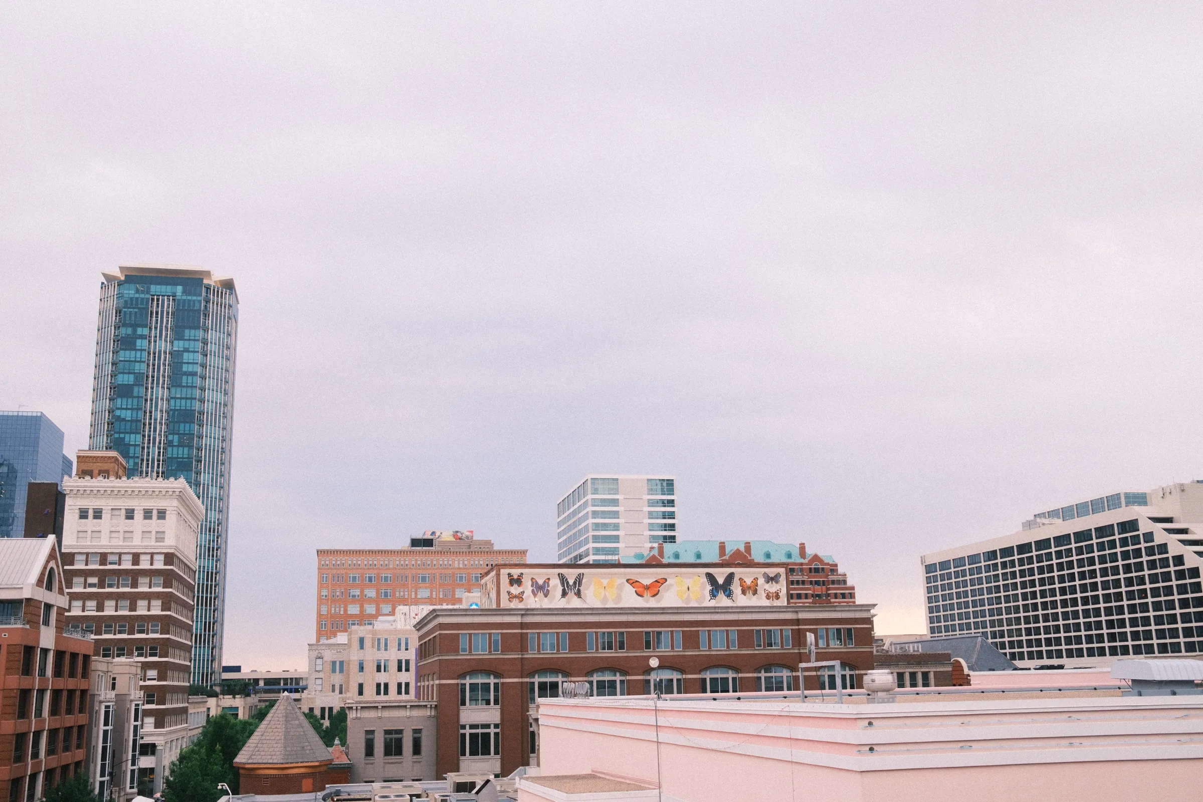 04 butterfly skyline.jpg