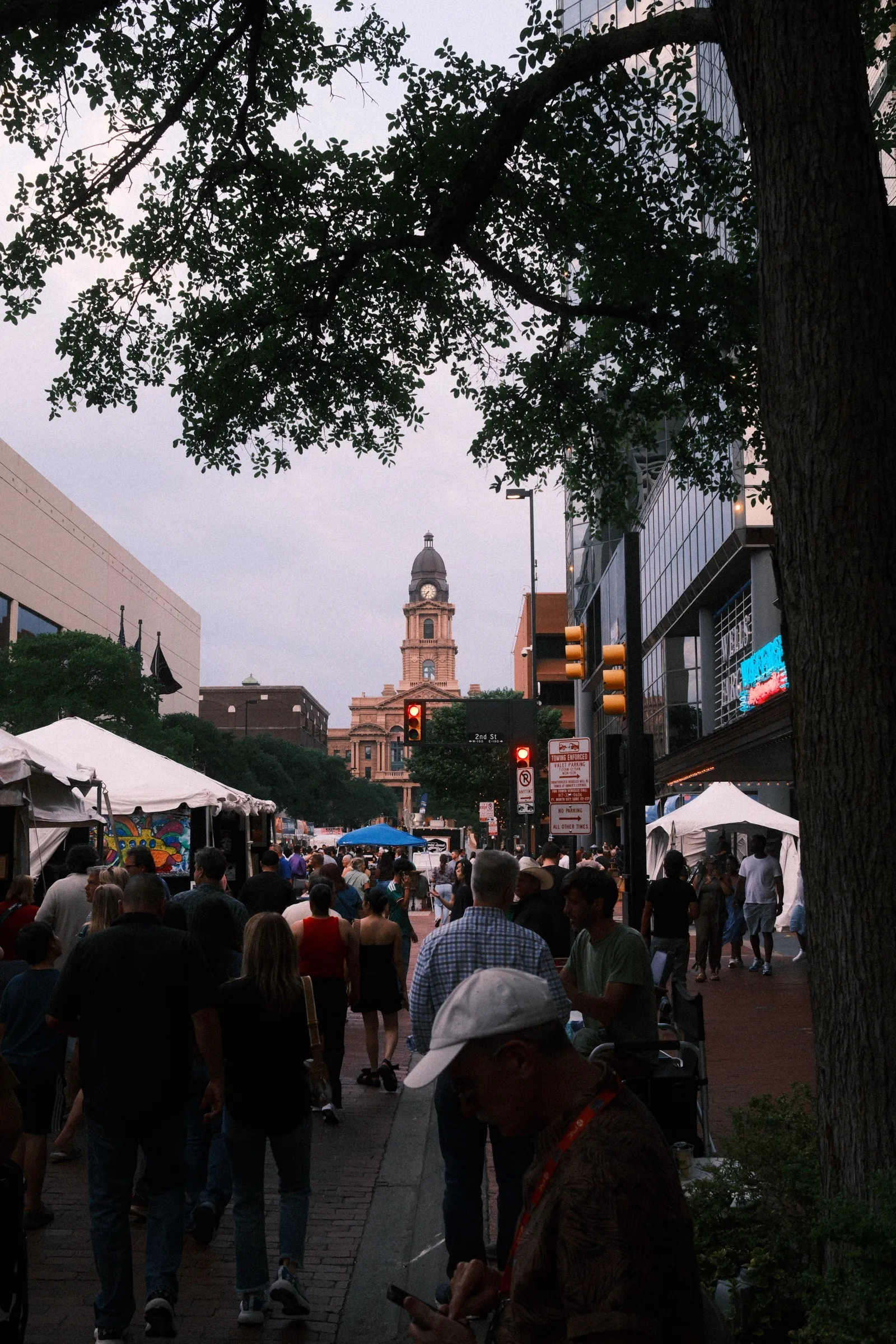 06 town hall through the trees.jpg