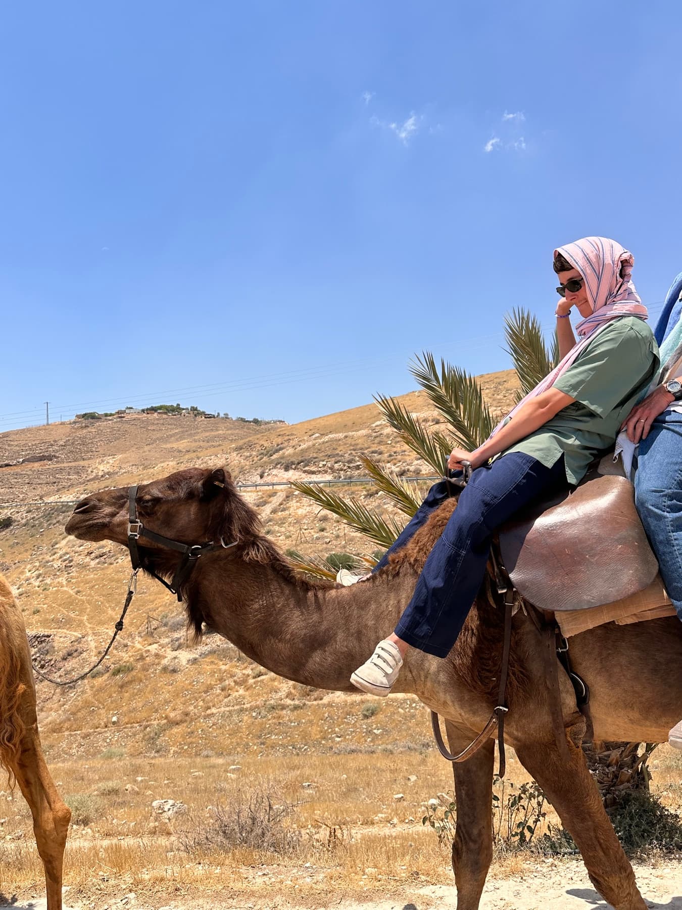 Grant on camel